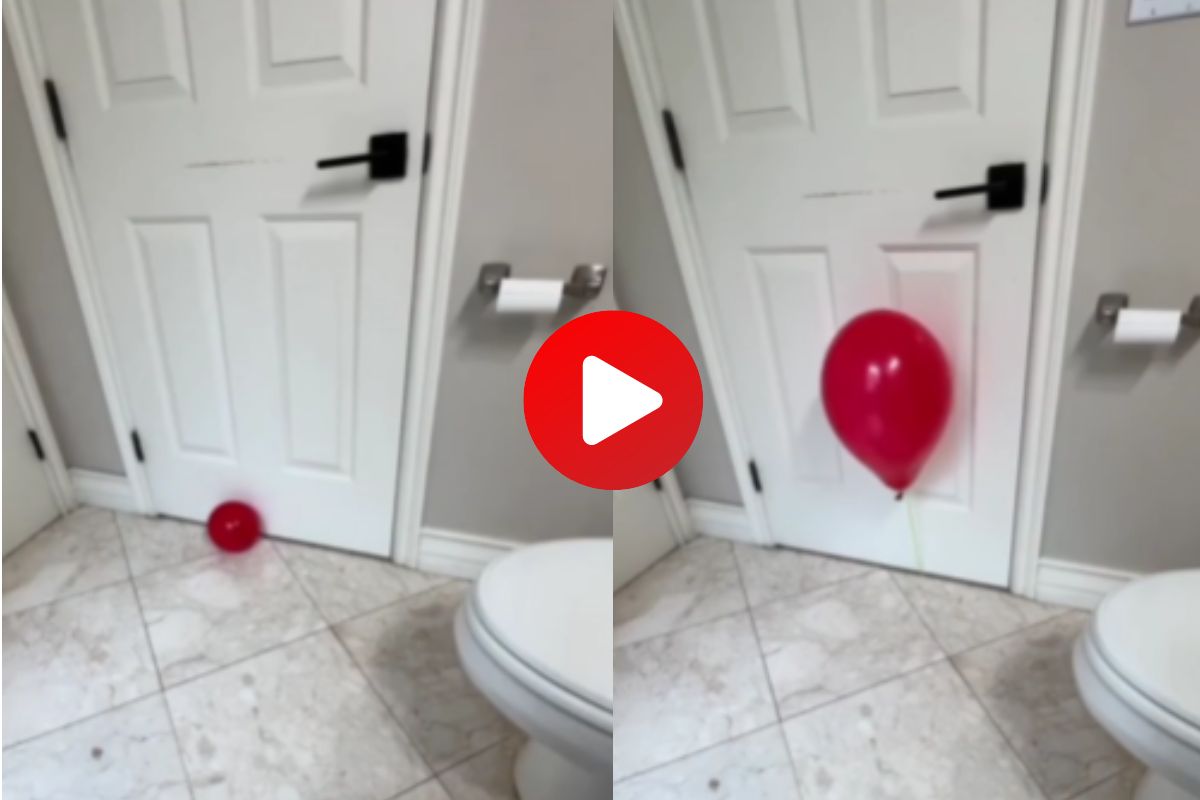 व्हायरल व्हिडीओ