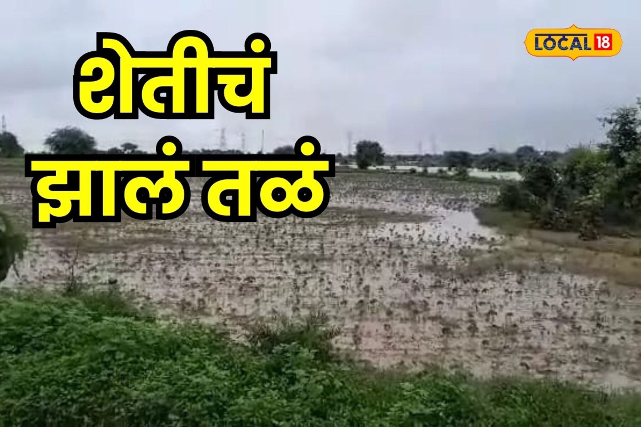 सांगा कसं पिक घ्यायचं? वर्ध्यात 40 गावातली शेतीचं झालं तळं VIDEO