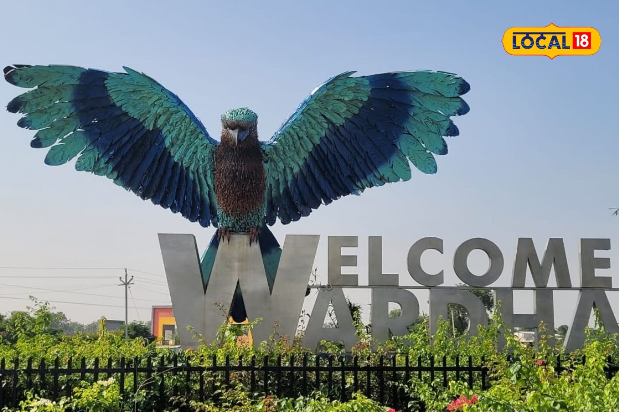 वर्धेकरांचा लाडका पक्षी कोणता आहे माहितीये का? रंजक ठरली होती निवडणूक