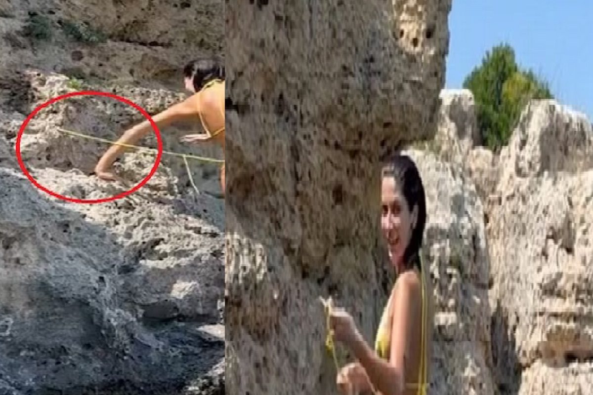 फोटो - सोशल मीडिया