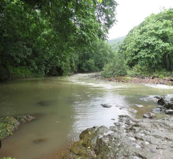 ठाणे शहरालगत असलेले येऊर : ठाणे शहराला लागूनच येऊर हे निसर्गरम्य ठिकाण आहे. ठाणे स्थानकात उतरून येथे जाण्यासाठी ठाणे महापालिकेच्या बसेस असून रिक्षा देखील जातात. टीकुजीनी वाडी येथील दारातून प्रवेश केल्यानंतर येथे जाता येते किंवा शिवाई नगरचा मार्ग देखील येऊरच्या जंगलाकडे नेतो. 