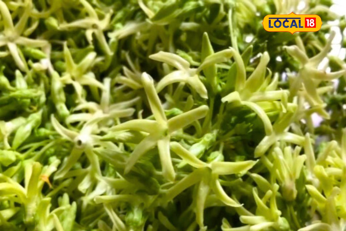 Local Food: फक्त पावसाळ्यातच येते ही भाजी, फक्त 15 ते 20 दिवसच येतात फुलं!