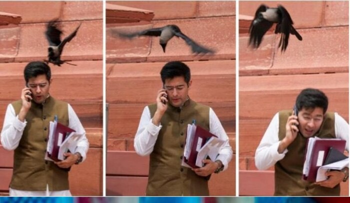  मीडिया रिपोर्ट्सनुसार, राघव हे संसदेच्या आवारात फोनवर बोलत फिरत असताना अचानक एका कावळ्याने त्यांच्यावर हल्ला केला. मात्र, लवकरच त्यांची कावळ्यापासून सुटका करण्यात यश आले. 