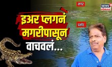 Crocodile and Swimmer |  मगरी शेजारी पोहत होता, इअर प्लगनं वाचवलं...पाहा नेमकं काय घडलं? | N18V