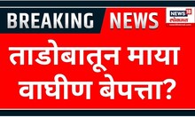 Tadoba Maya Tiger : ताडोबातून माया वाघीण बेपत्ता? Chandrapur | Marathi News