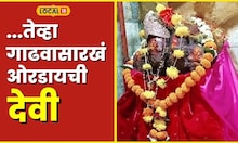 Wardha ...तेव्हा गाढवासारखं ओरडायची देवी, विदर्भातील प्रसिद्ध गाढवभुकी माता माहितीये का? #Local18