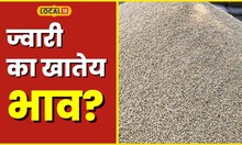 Jowar Rates आला थंडीचा महिना, चपाती नको ही गरिबांची भाकरी सगळ्यात बेस्ट, भावही वाढला #Local18