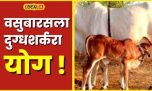 Vasubaras यंदा दिवाळीत आहे खास असा योग, वसुबारसला ही संधी सोडू नका #Local18