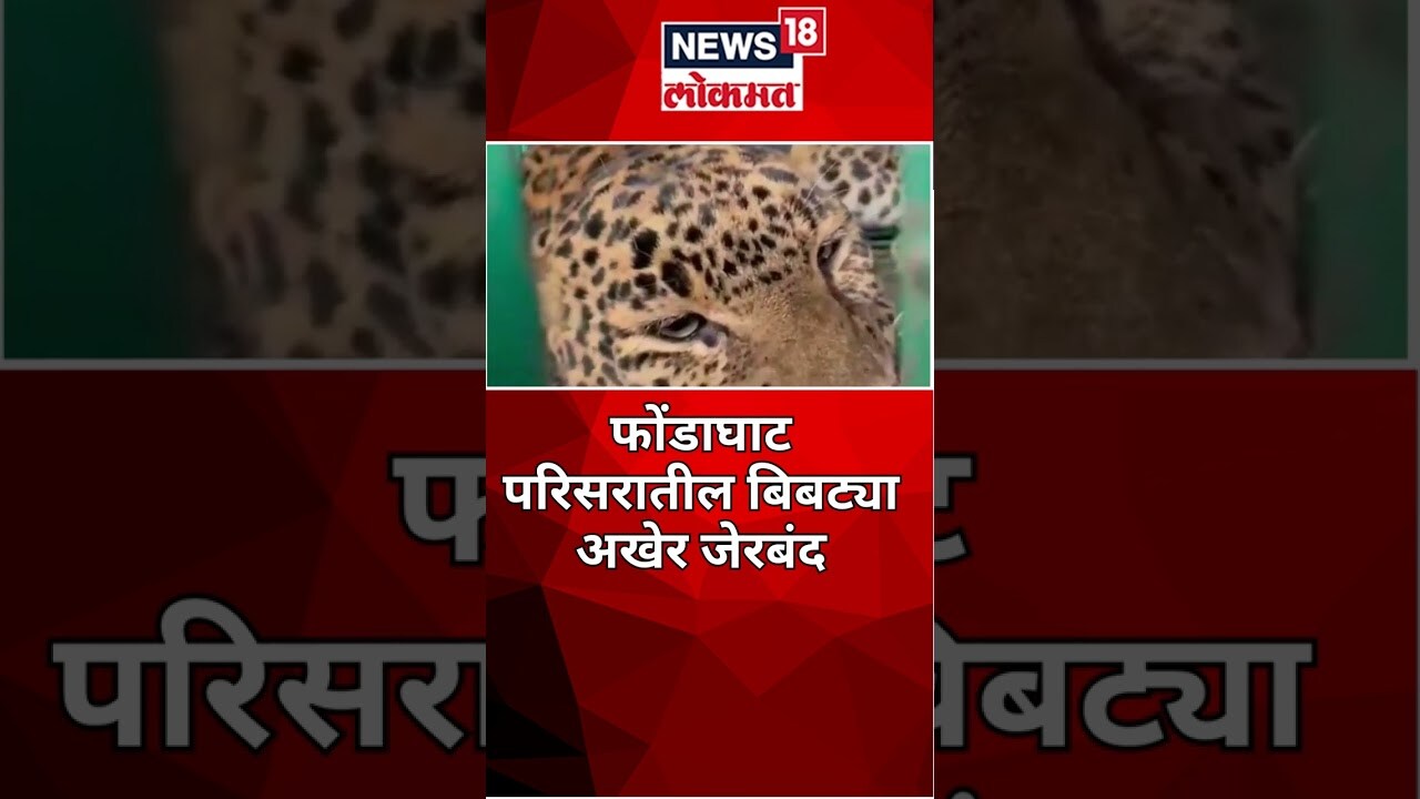 Latest Marathi News- Breaking News Today, Read Marathi Batmya from  Maharashtra, India ब्रेकींग मराठी न्यूज at