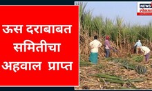 Sugar Prices : ऊस दराबाबत समितीचा अहवाल जिल्हाधिकाऱ्यांना प्राप्त | Marathi News