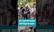 जेव्हा हत्तीचं पिल्लू आईला भेटतं.. #local18shorts #local18marathi #elephant #animal
