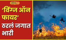 Baiju Patil उसाचं पाचट जळताना काढला फोटो, 'विंग्ज ऑन फायर' ठरलं जगात भारी #local18