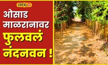 Dharashiv निसर्गप्रेमीनं फुलवलं नंदनवन! 300 एक्कर उजाड आणि ओसाड असलेला परिसर नटवला वनराईने #local18