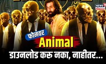 Torrent Virus | फोनवर Animal डाउनलोड करू नका, नाहीतर पुन्हा कोणताही चित्रपट पाहता येणार नाही! | N18V