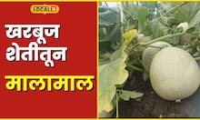 Agriculture मराठवाड्यातील खरबूज निघालं केनियाला, मिळाला उच्चांकी दर #local18