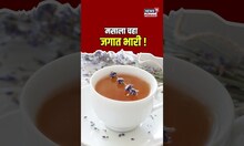 Masala Tea | चहाने करून दाखवलं, थेट मिळवलं दुसरं स्थान..! कशात? पाहा...| N18S