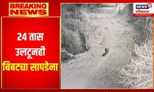 Rajiv Gandhi Zoological Park  : २४ तास उलटूनही बिबट्या सापडेना  | Pune | CCTV Footage Exclu