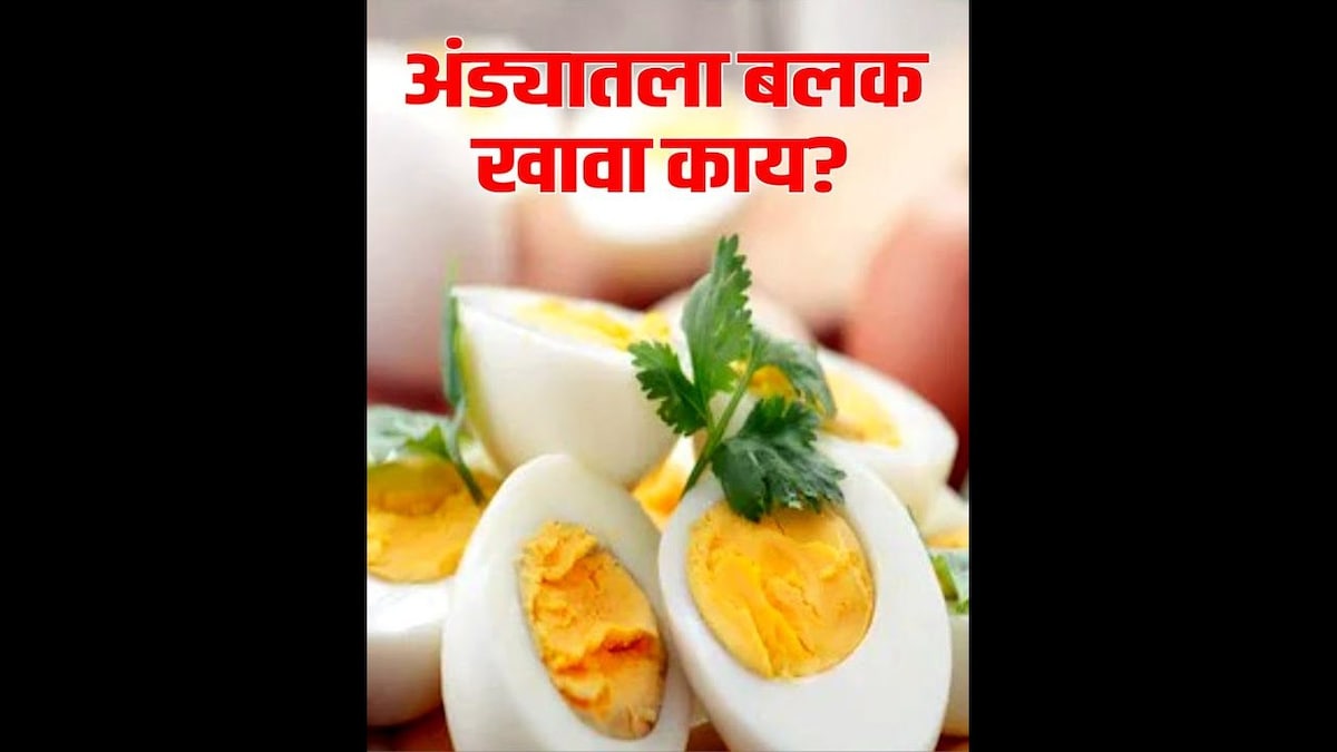 Egg Yolk | अंड्यातला पिवळा बलक खावा का? त्यामध्ये नेमकं काय असतं? | N18V