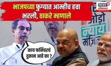 Rahul Gandhi On BJP: भाजपच्या फुग्यात आम्हीच हवा भरली, ठाकरे म्हणाले