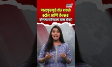 Fast Food : फास्टफुडमुळे होऊ शकतो स्टोन आणि कॅन्सर! काय सांगतात यूरोलॉजिस्ट? कोणत्या वयोगटाला धोका?