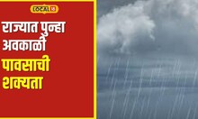 Weather update : विदर्भ, मराठवाड्यासह पश्चिम महाराष्ट्रावर पावसाचे ढग, शेतकरी चिंतेत! #local18