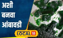 Ambawadi Recipe अपचनाचा त्रास होईल गायब, झटपट बनवा वर्षभर टिकणारी आंबावडी रेसिपी #local18