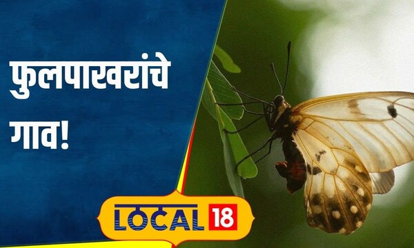 butterfly village महाराष्ट्रातील 'या' गावात आहेत फुलपाखरांच्या ...