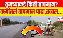 Maharashtra Weather Update | Wardha Heat Wave | Climate Change |  वर्ध्यातल्या तापमानानं सर्वच बेहाल