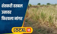 Marathwada Drought दुष्काळाची दाहकता, धरण पडलं कोरडं; शेतकऱ्याने थेट उसावर फिरवला नांगर #local18