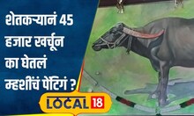 Animal Lover लाडक्या म्हशीचं हुबेहूब चित्र काढलं, पण दुर्देवानं तिलाच नाही ते पाहता आलं! #local18