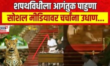 Mystery Animal Spotted : शपथविधीच्या वेळेस पाठीमागे दिसणारा प्राणी कुठला? रंगली चर्चा..