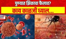 Pune Zika Patient : पुण्यात झिका व्हायरसचा फैलाव, दोन रुग्णांना सौम्य लक्षण | Marathi News