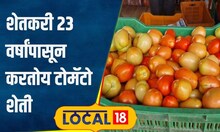 Agriculture Success: लाल सोन्याची शेती अन् सातारचा बळीराजा लखपती! काय आहे यशाचा मंत्र? #local18