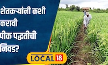 agriculture शेतीसाठी जागतिक तापमानवाढ ठरू शकते घातक; पुरस्कारप्राप्त शेतकऱ्यांनी दिला तोडगा#local18
