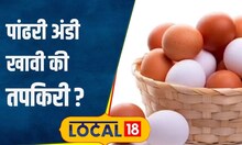 Healthy Food: रोज खाओ अंडे...पण पांढरी की तपकिरी, आरोग्यासाठी कोणती अंडी फायदेशीर? #local18