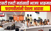 BJP Votes : ST आणि NT मतांसाठी भाजप आक्रमक, फडणवीसांनी घेतला आढावा