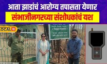 Tree Health आता तपासा झाडांचं आरोग्य! संभाजीनगरच्या संशोधकांची कमाल, पेटंटही मिळालं #local18
