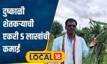 Agriculture: दुष्काळी जालन्यात शेतकऱ्यानं पिकवलं Dragon Fruit, आता एकरी 5 लाखांची कमाई | #local18