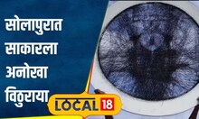 Vitthal Art: 300 खिळे अन् 3 हजार मीटर दोरा, सोलापुरात साकारला अनोखा विठुराया | #local18