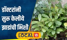 Tree Plantation: पैशाची नव्हे झाडांची भिशी! सोलापूरच्या डॉक्टरांचा उपक्रम आहे तरी काय? | #local18