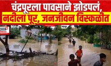 Chandrapur Rain | चंद्रपूरला पावसाने झोडपलं, मुसळधार पावसामुळे जनजीवन विस्कळीत