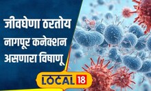 Health Care: गुजरातमध्ये या विषाणूचा कहर, नागपूर कनेक्शन आलं समोर, कशी घ्याल काळजी? | #local18