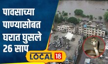 Pune Rain: पावसाच्या पाण्यासोबत घरात घुसले 26 साप, दुहेरी संकटानं पुणेकर हैराण, घडलं काय?| #local18