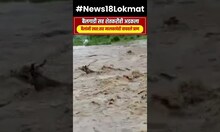 Yavatmal Bailgadi and Flood : बैलगाडी सह शेतकरीही अडकला, बैलांनी स्वत:सह मालकाचेही वाचवले प्राण N18V