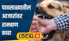 Health Care: कुत्रा चावला तर रक्तदान करता येतं का? अनेकांना माहिती नसेल, डॉक्टर म्हणतात.. | #local18