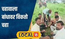 Tea Business फक्त 1 फोन आणि चहावाला पोहोचतो बांधावर! 10 दिवसात होतो लखपती #local18