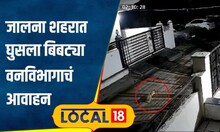 Jalna: जालना शहरात खरंच आढळला बिबट्या? CCTV मध्ये काय दिसलं? वनविभागाचं आवाहन | #local18
