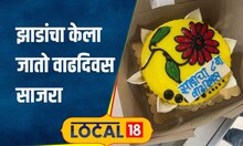 Plants Birthday याठिकाणी झाडांचा वाढदिवस साजरा करण्याची परंपरा, काय आहे यामागची संकल्पना? #local18