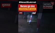 Bhusawal Leopard CCTV : भुसावळमध्ये बिबट्यांचा मुक्त संचार, नागरिकांमध्ये भीतीचं वातावरण