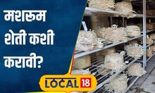 Mushroom farming मशरुम कसे तयार केले जाते?पुण्यात कृषी महाविद्यालयात दिलंय जातंय प्रशिक्षण #local18
